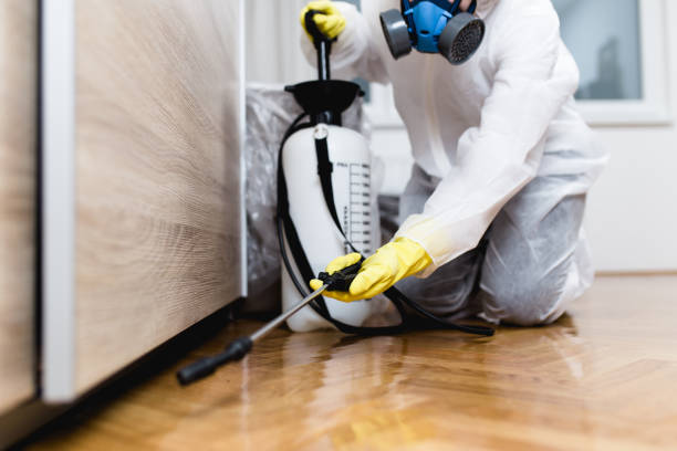 Best Emergency Pest Control  in Wayne, PA