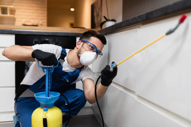 Best Local Pest Control Services  in Wayne, PA