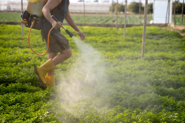 Best Best Pest Control Companies  in Wayne, PA