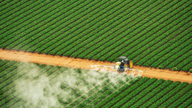 Best Mosquito Control Services  in Wayne, PA